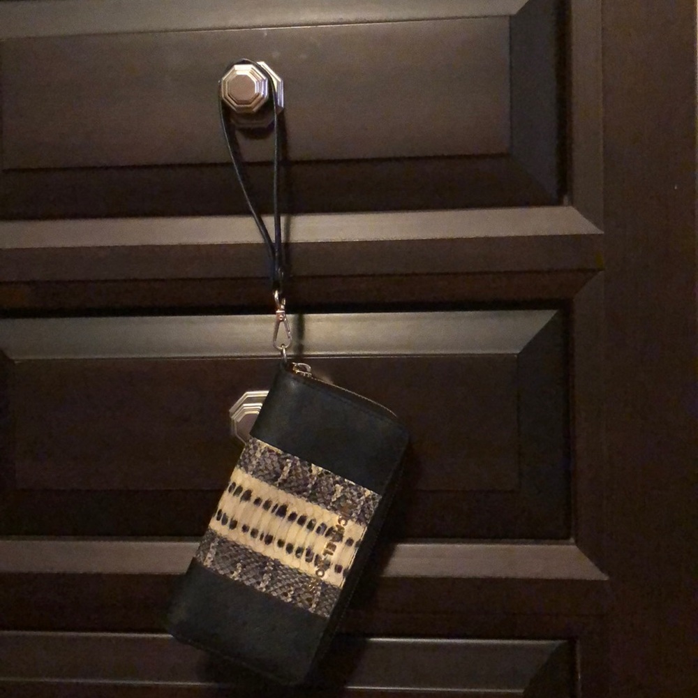 Wrislet/wallet